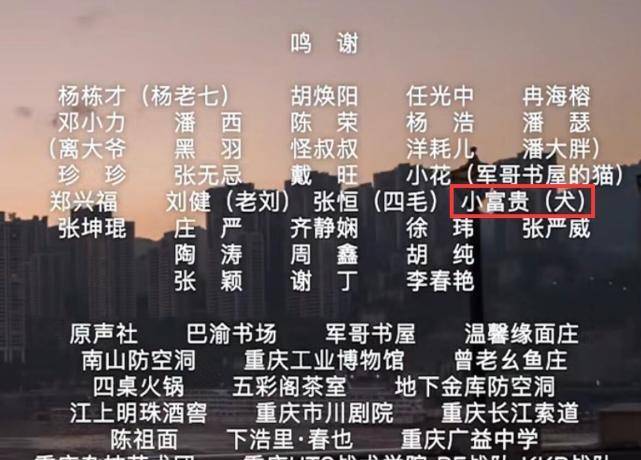 新澳门一码与精准预测的奥秘一码一肖100%精准