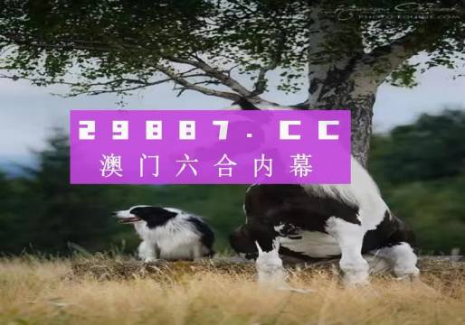 今晚一肖中特，揭秘生肖预测的奥秘与理性思考一肖中特今晚.pg电子.游戏