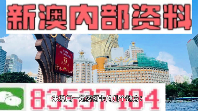 今晚一肖中特，揭秘生肖预测的奥秘与理性思考一肖中特今晚期期准