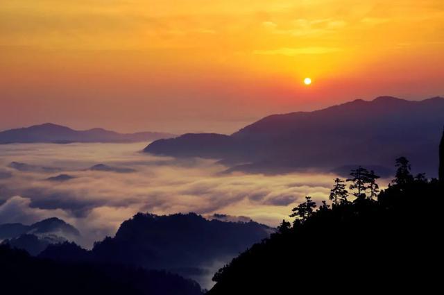 2036年，澳门彩票新纪元—探索未来开奖速度的极限2023澳门最快开奖结果查询