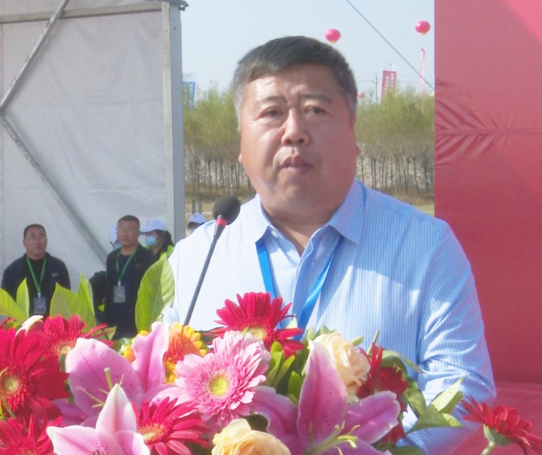 探秘香港马会开码结果直播，揭幕赛马的激情与幸运的瞬间