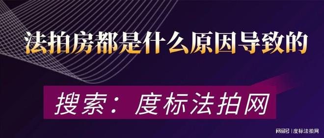 探索未来，新奥2035正版资料大全的深度解析与前瞻新澳2025年正版资料
