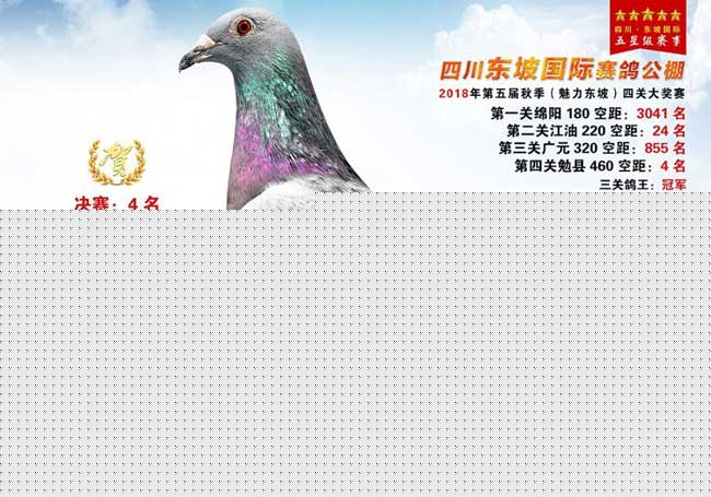 君翼赛鸽公棚秋季赛事，速度与激情的碰撞宁夏君翼赛鸽公棚秋棚