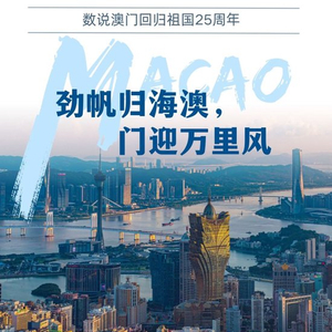 澳门新年度全年资料内部公开，透视城市发展与民生改善的全面画卷2025年正版资料免费大全