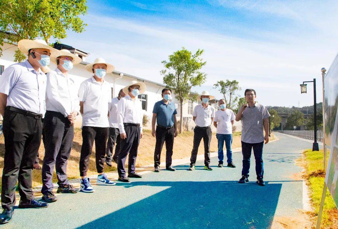 罗源新闻，乡村振兴的绿色篇章罗源新闻近期新闻