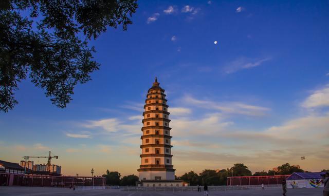 揭秘四肖八码中特—数字游戏中的智慧与策略四肖八码中特期期准