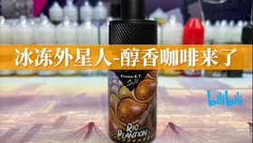 敦烟网VGX8，重塑电子雾化器体验的革新之作