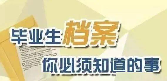 澳门精准免费资料大全，揭秘赌场胜负的智慧之门澳门精准免费资料大全聚侠网凤凰