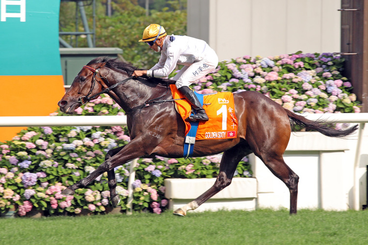 探索香港马会资料，历史、运营与影响香港赛马会资料信息唯一官方网站