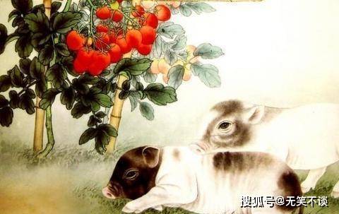 春满人间话生肖，兔年里的温柔与希望春满人间是什么生肖准确的答案