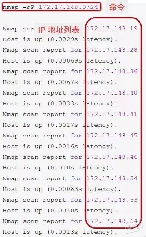 玛雅论坛最新IP地址，探索神秘网络社区的深度解析玛雅论坛最新ip地址查询