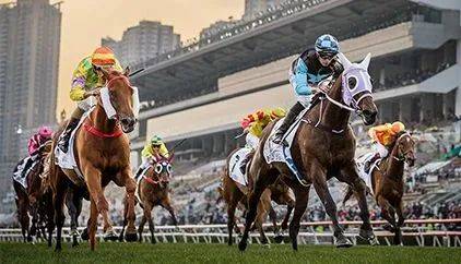 2019年香港马会资料大全，探索赛马的辉煌与魅力