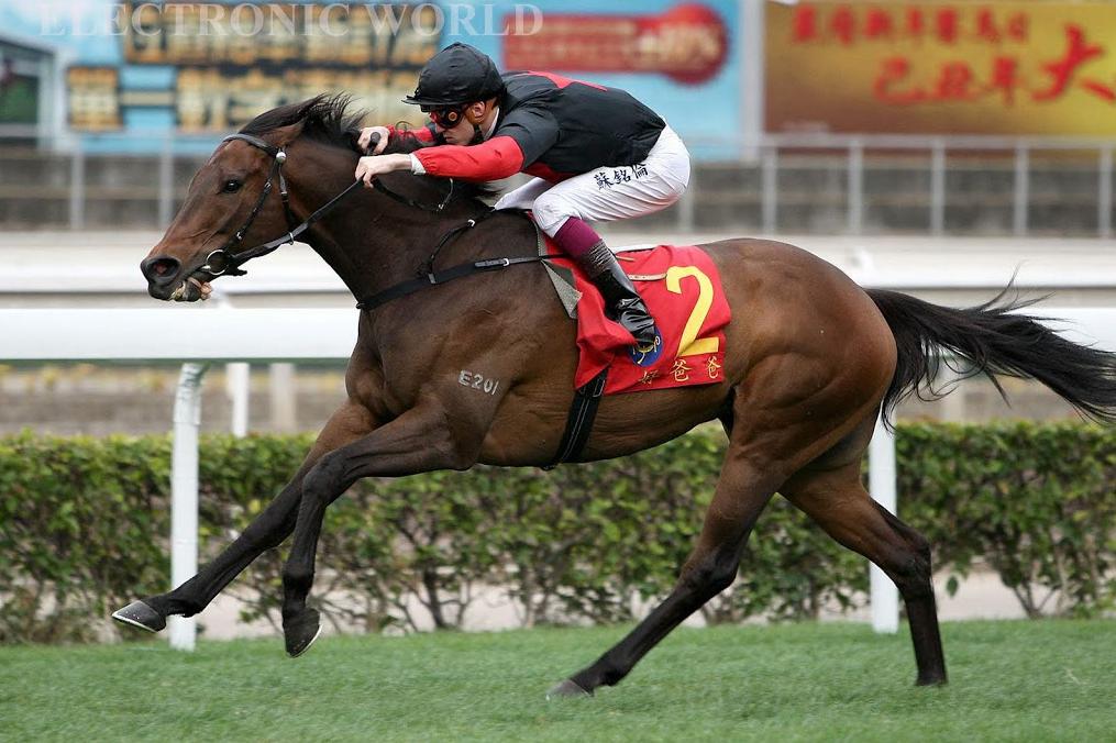 2019香港马会资料大全，免费获取与深度解析香港2021年马会资料大全