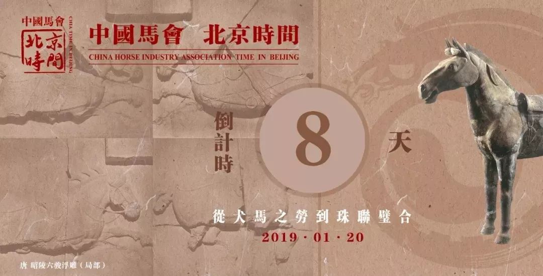 今日特马揭晓，探寻幸运的奥秘今晚开什么特马肖