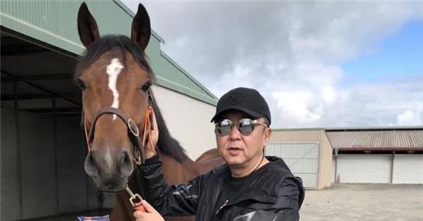 马会传真论运，探索赛马运动与现代科技的完美融合马会传真论运-澳门
