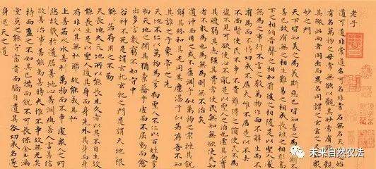 三码中特期期 第68页