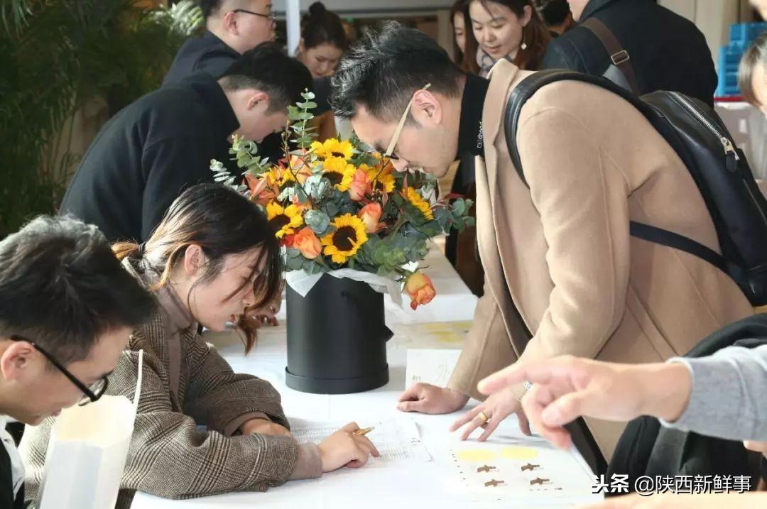 探索网络乌托邦，天堂鸟论坛的独特魅力与文化天堂鸟论坛怎么打不开