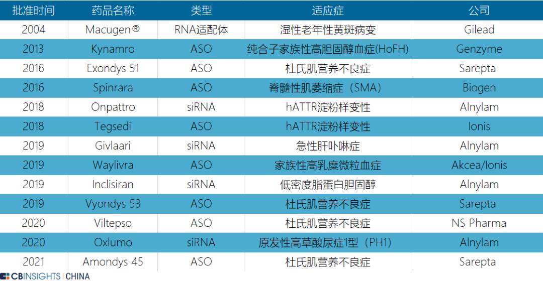 今晚六给彩特码揭秘，理性与娱乐的平衡今晚六给彩开奖号码2021