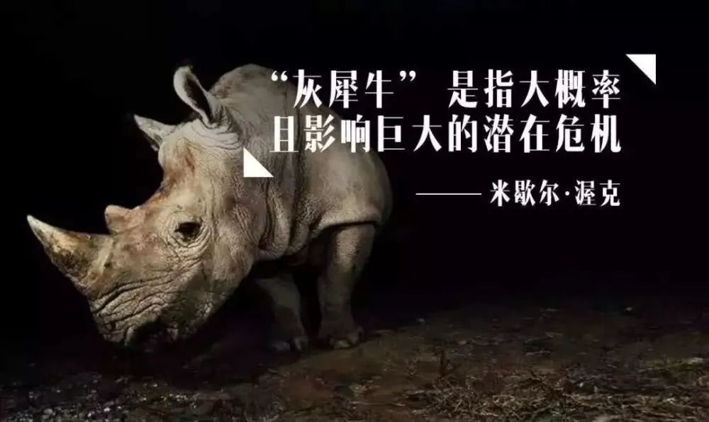2041，四不像现象的深度解析与未来趋势2021四不像必中一肖图46期