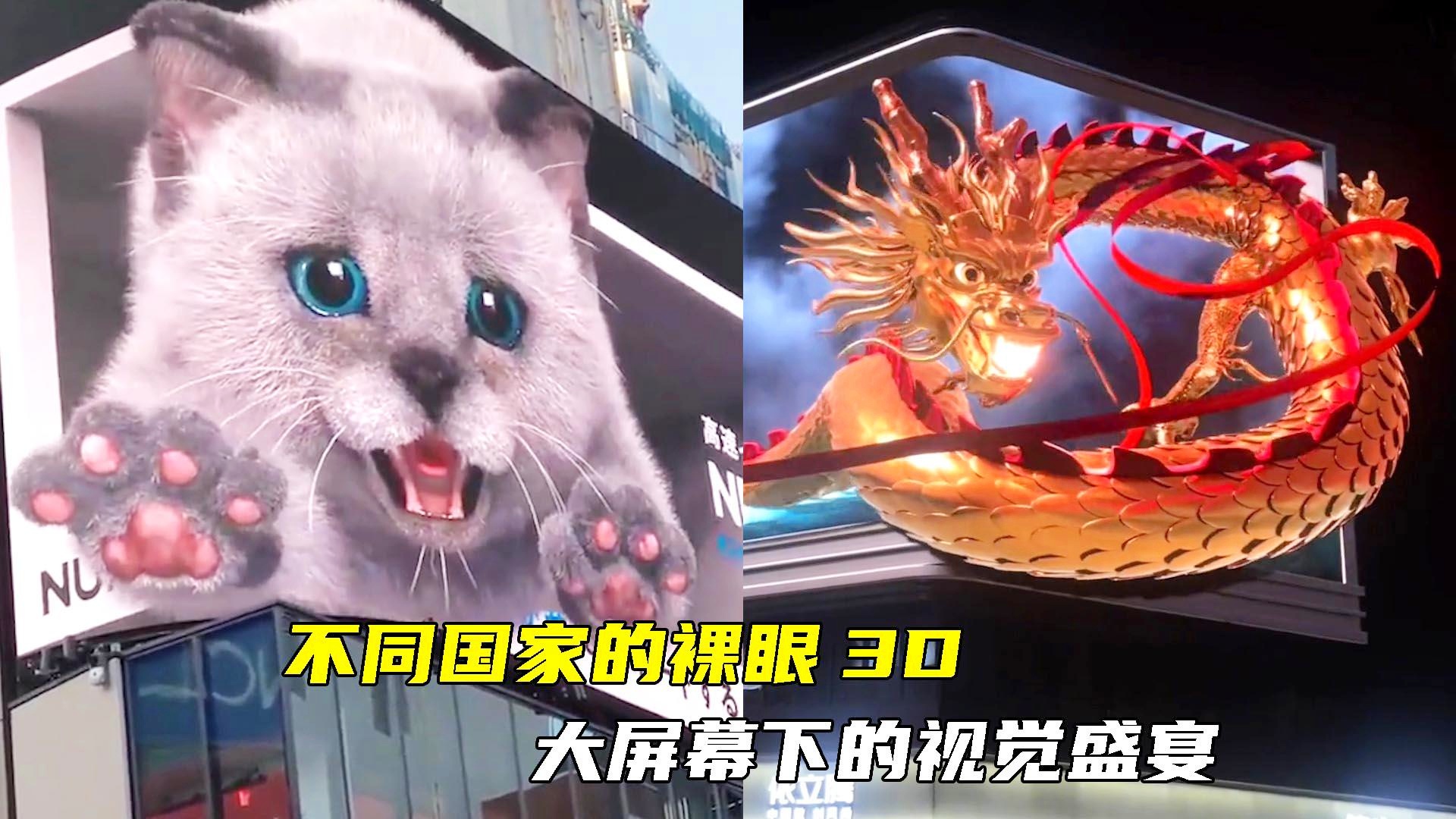 探索3D红五图库，一场视觉与策略的盛宴3d红五图库天牛图库