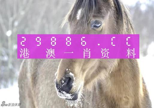 澳门精准一肖与码，揭秘背后的真相澳门精准一肖一码100%精准