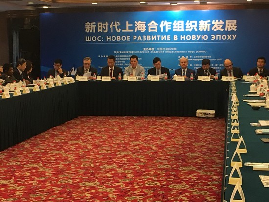 探索网络智库，神鹰权威论坛的深度剖析神鹰权威论坛中心