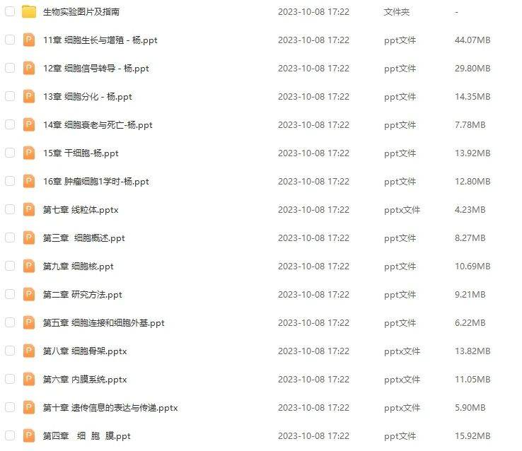 探索管家婆20-4资料图片大全，深度解析与实用指南2020年管家婆彩图大全