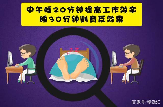 2019年免费资料大全，解锁知识宝藏的钥匙2021年免费资料大全集