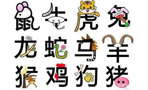 今晚9点30分揭晓的生肖之谜今晚9点30开什么生肖最准的