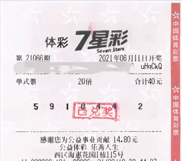 七星彩高手论坛，揭秘数字彩票的智慧与策略七星彩高手论坛一琼粤