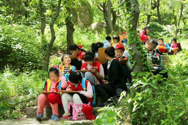 探索澳门，免费资料大全的奇妙之旅打开澳门免费资料大全图片
