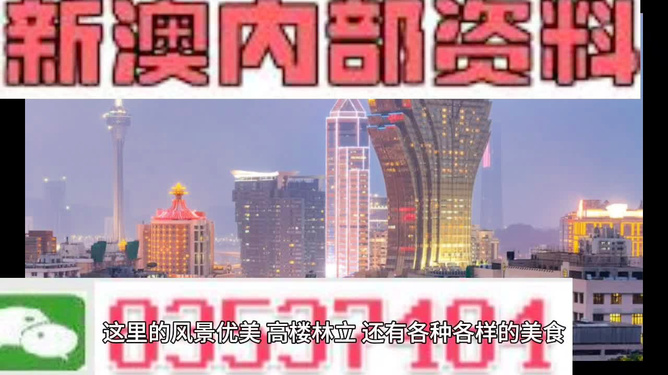 探索新澳门，2046年资料免费共享的未来展望2025年新澳正版资料查询方法