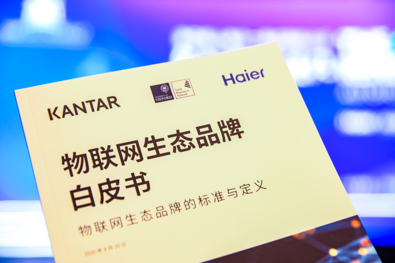 澳门新纪元，2035年开奖结果记录的展望与思考新澳门2023开奖结果记录历史