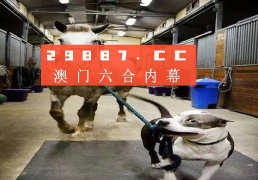 澳门一肖必中，揭秘背后的真相与风险澳门一肖一码一必中一肖怒目而视西瓜视频