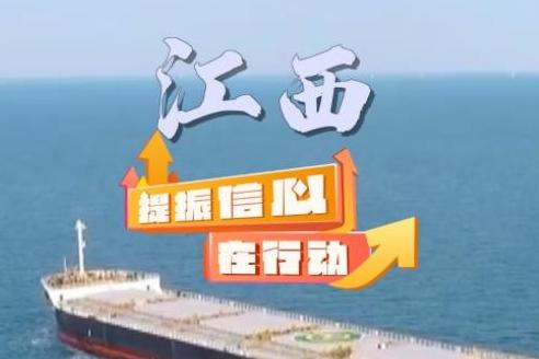 澳门正版资料大全免费看，揭开真相与风险2021澳门正版资料全集