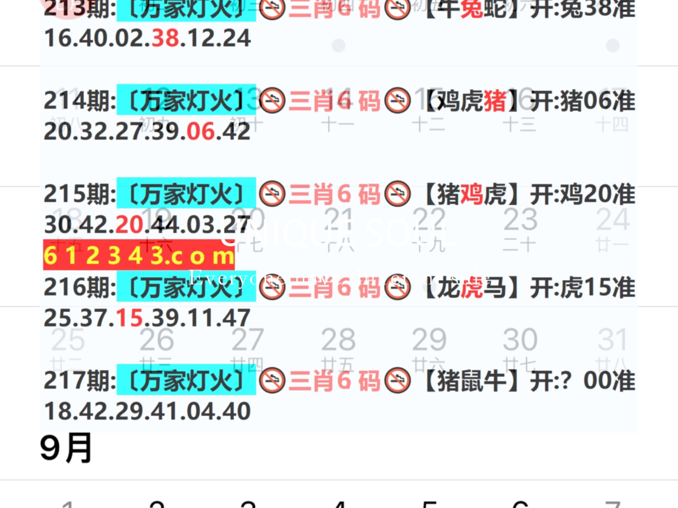 2024年新奥门王中王资料202449