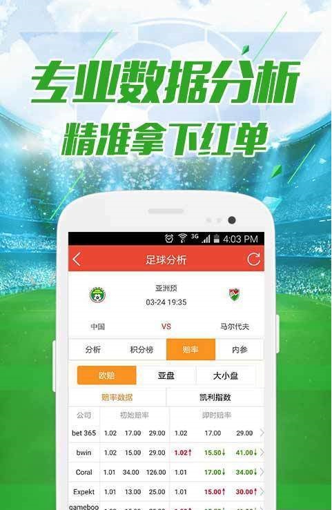 2046，澳门开奖结果王中王的神秘与魅力2025澳门开奖结果查询