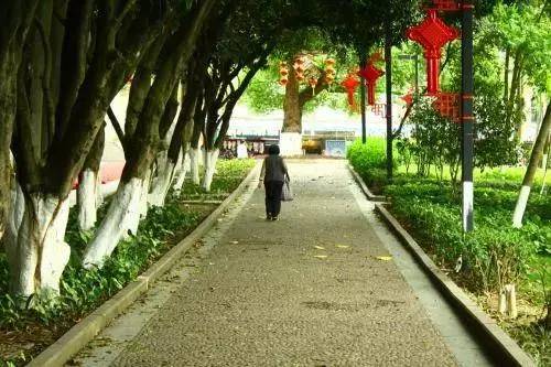 揭秘香港曾道六肖，精选一萧的背后逻辑与真相香港今晚必开一肖