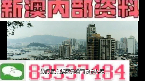 2046，新澳门开奖的未来展望与文化交融2024新澳门开奖结果记录查询