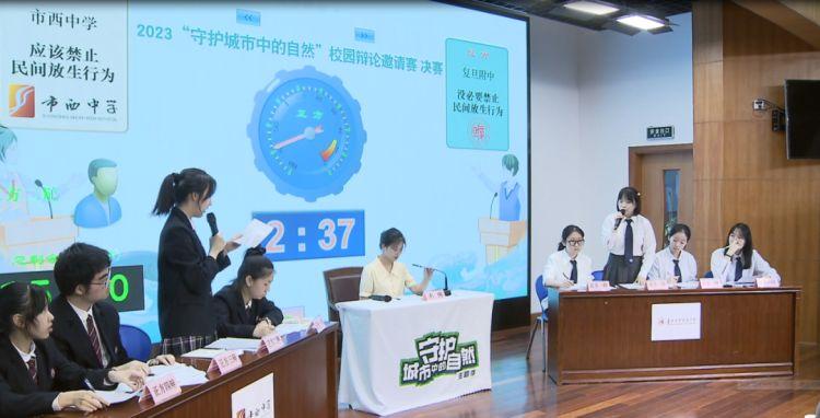 2019年香港马内部免费资料，揭秘赛前准备与策略分析香港马资料大全2019