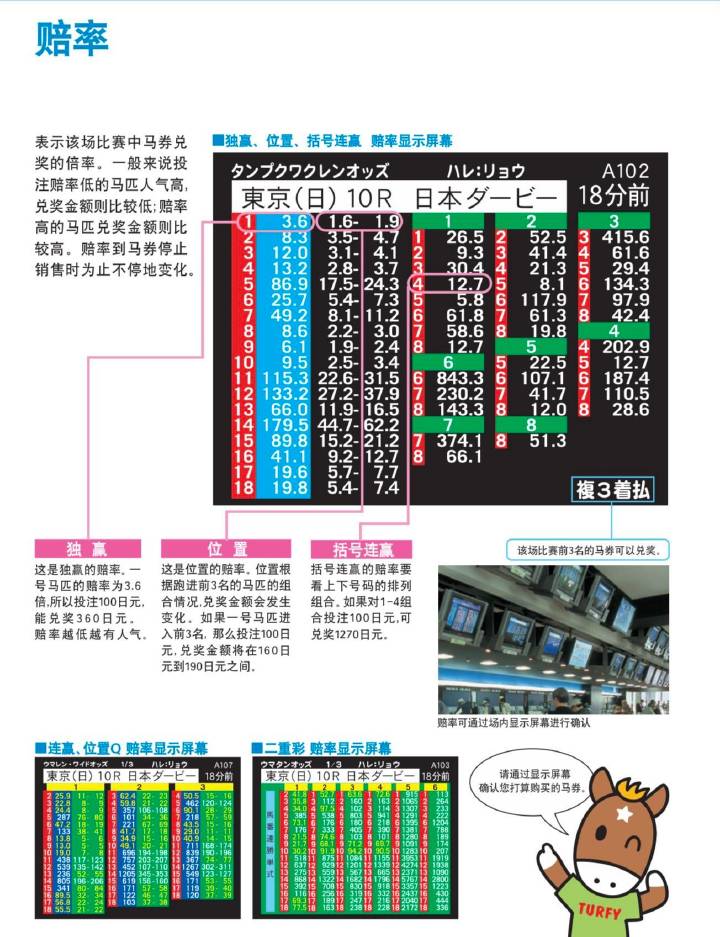 探索马会传真资料，揭秘网站论坛的独特魅力与价值马会传真吧