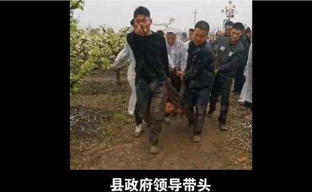 2024澳门今晚开特马开什么319期