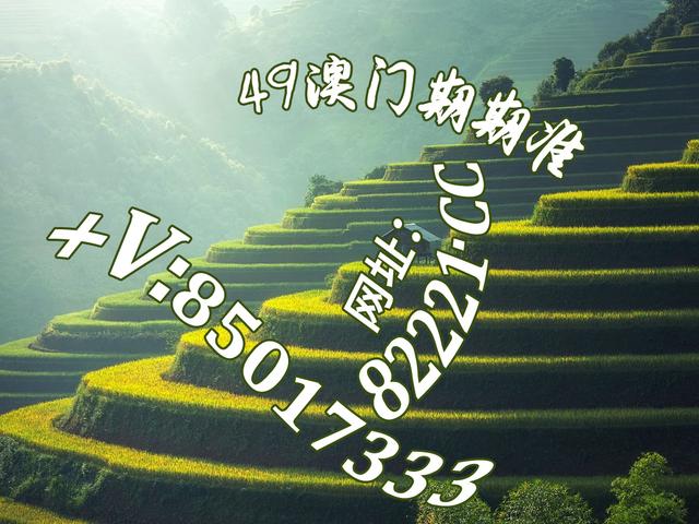 探索白姐图库，数字时代的视觉宝藏白姐统一彩色印刷图库