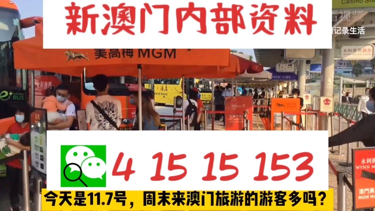 澳门今晚必中一码的真相，理性与娱乐并重澳门今晚必中一码一肖准确9995