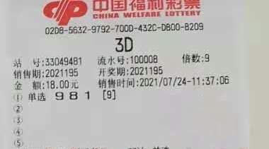 揭秘新澳204今晚开奖结果，理性看待彩票，享受娱乐而非依赖新澳2024今晚开奖结果开奖记录