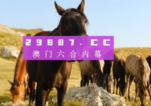 澳门最新开奖记录查询，揭秘新澳门的幸运时刻新澳门最新开奖记录查询结果