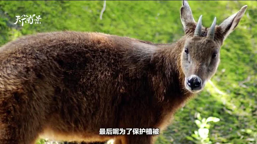 二肖3码 第10页