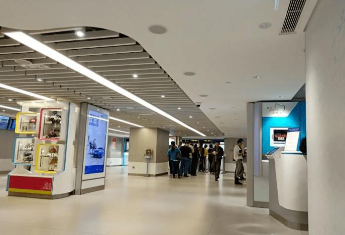 2019年香港马会内部免费资料，揭秘与解析香港马资料大全2019