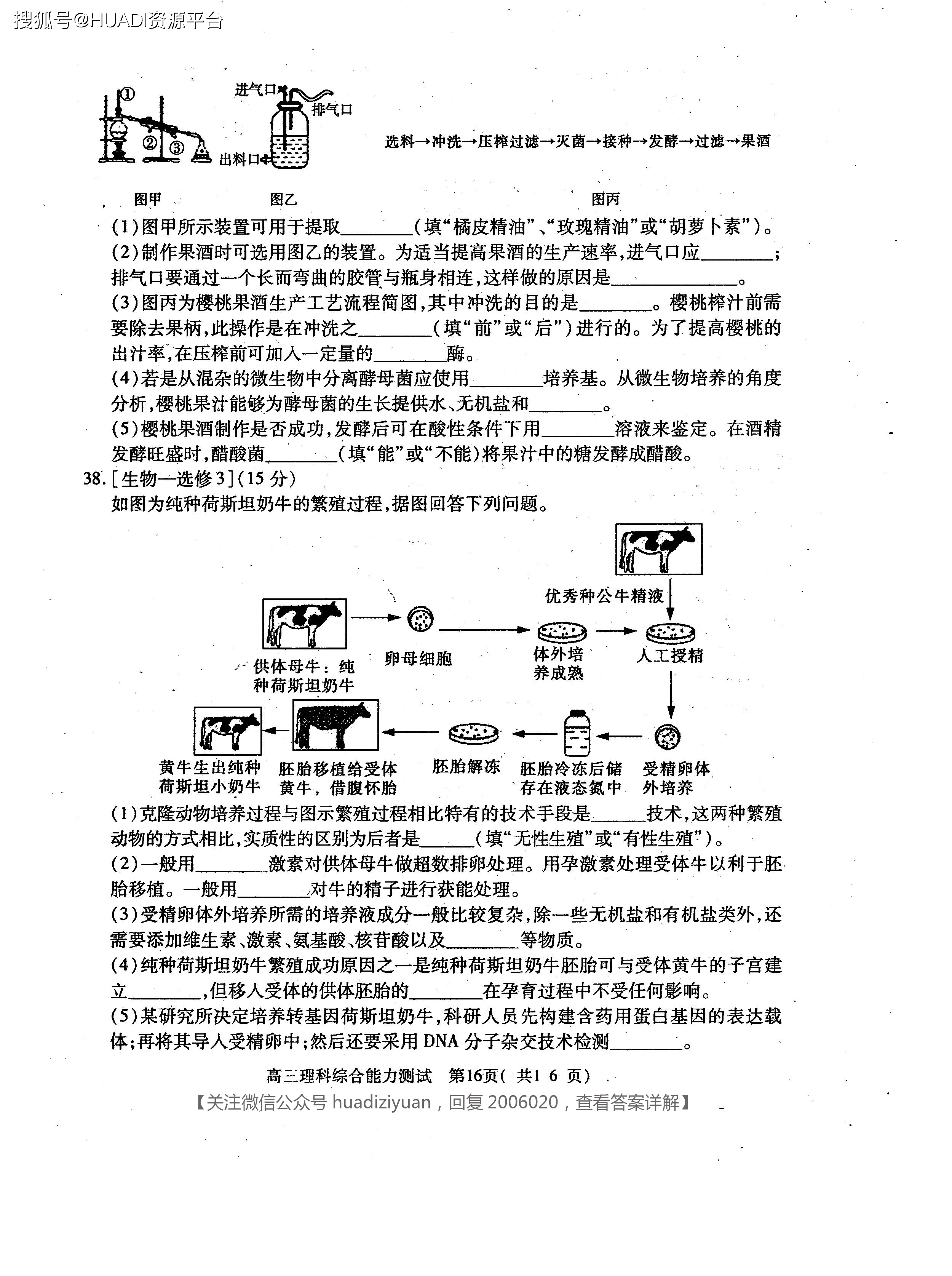 揭秘二四六玄机图，资料大全与深度解析二四六玄机图 资料大全介绍