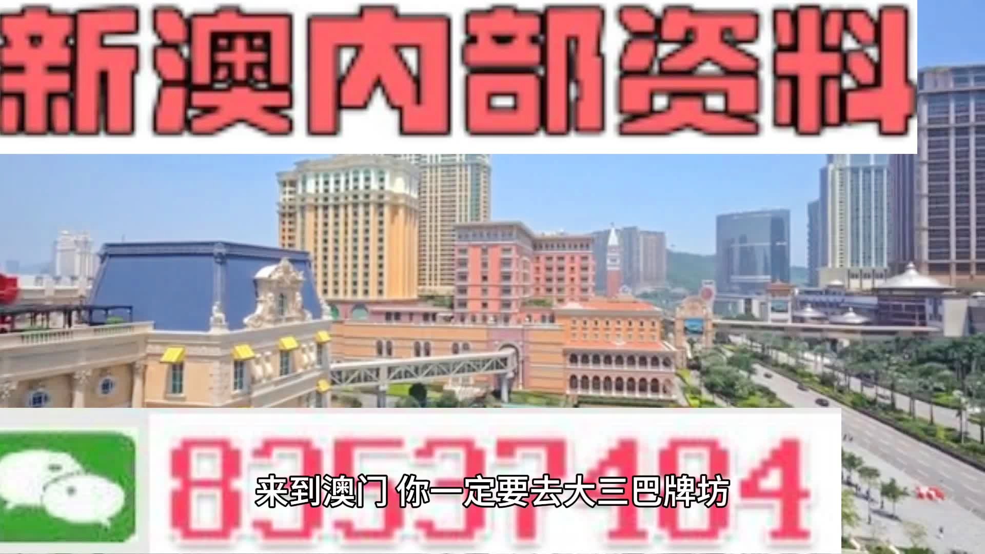 2046年新澳门王中王的神秘面纱，揭秘与展望2024年新澳门王中王资料,重点全面解